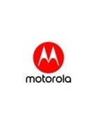 MOTOROLA